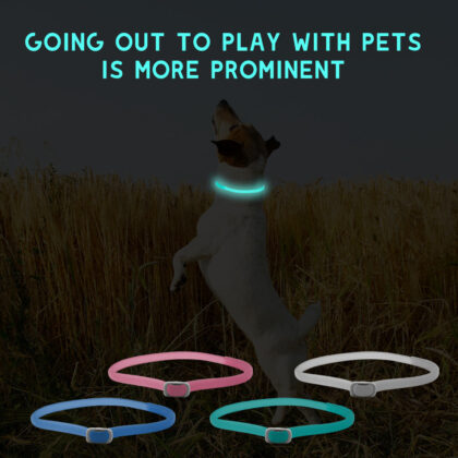 Luminous Insect Repellent Dog Collar – Pet Products